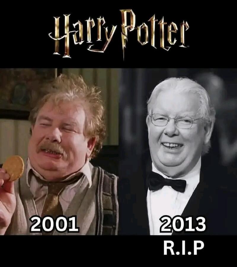 Harry Potter 2001 2013 R.I.P