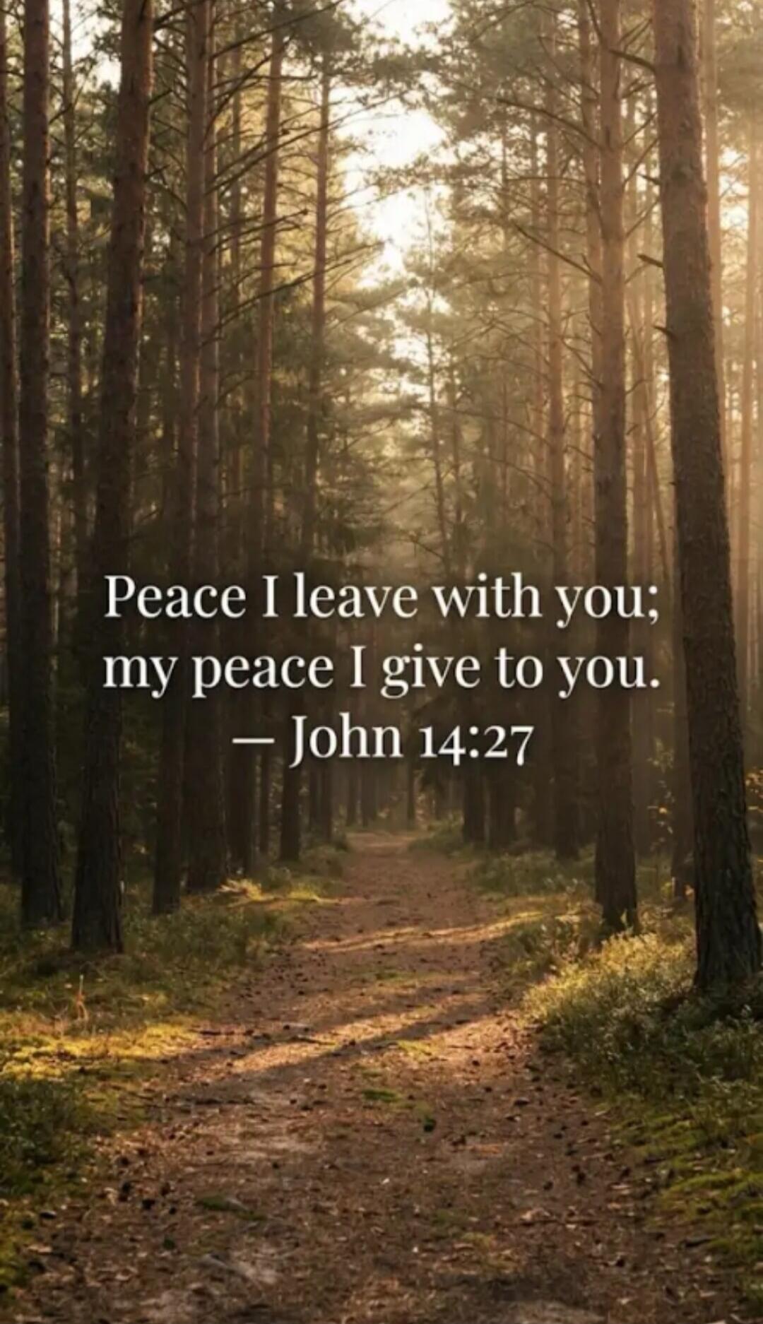 Peace I leave with you; my peace I give to you. - John 14:27