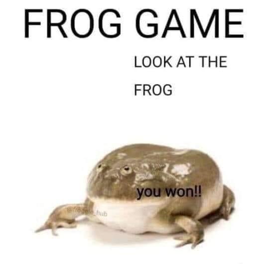 FROG GAME LOOK AT THE FROG p