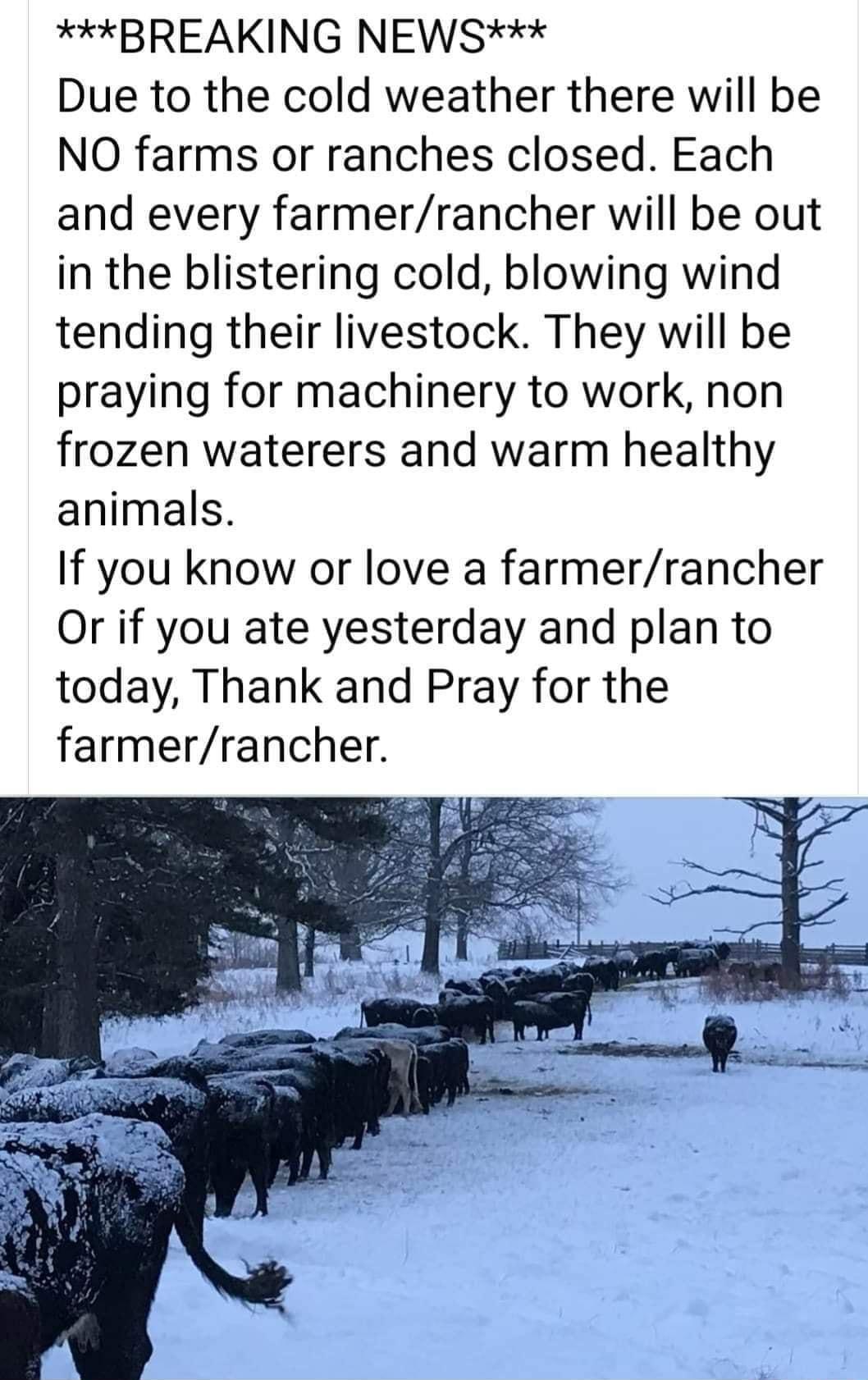 BREAKING NEWS Due to the cold weather there will be NO farms or ranches closed Each and every farmerrancher will be out in the blistering cold blowing wind tending their livestock They will be praying for machinery to work non frozen waterers and warm healthy animals If you know or love a farmerrancher Or if you ate yesterday and plan to today Thank and Pray for the farmerrancher