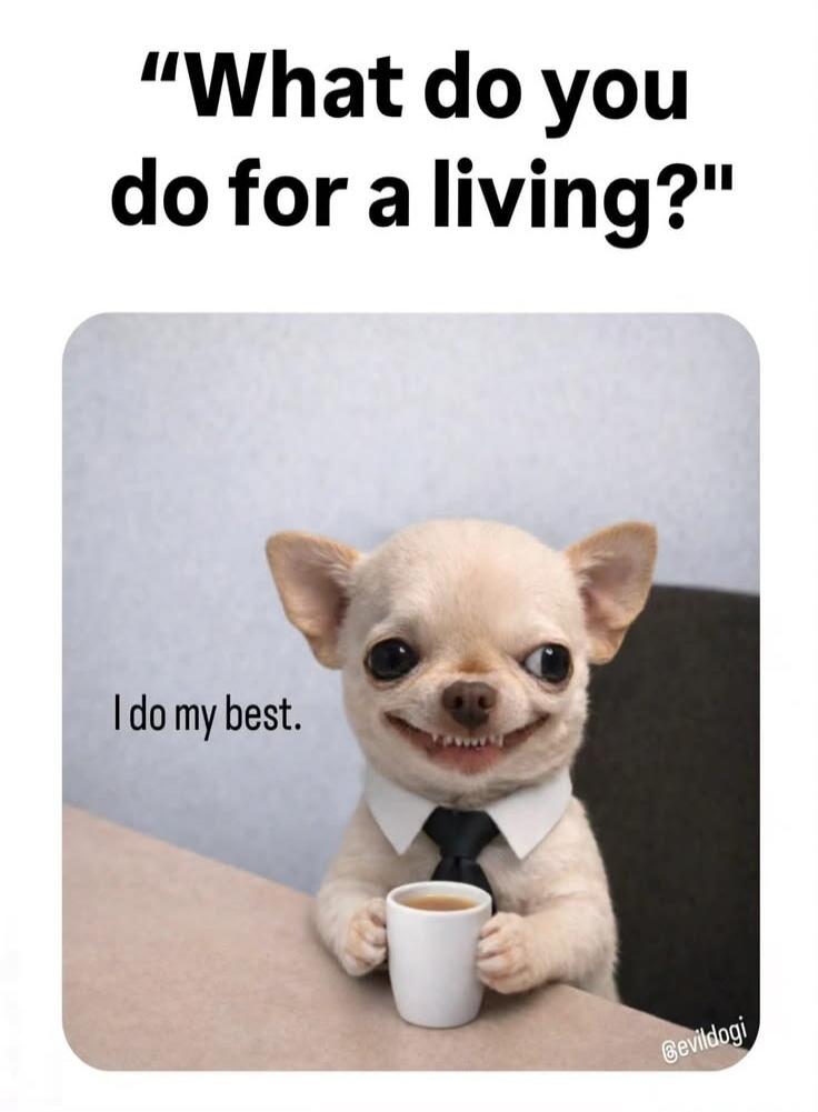 What do you do for a living? I do my best.