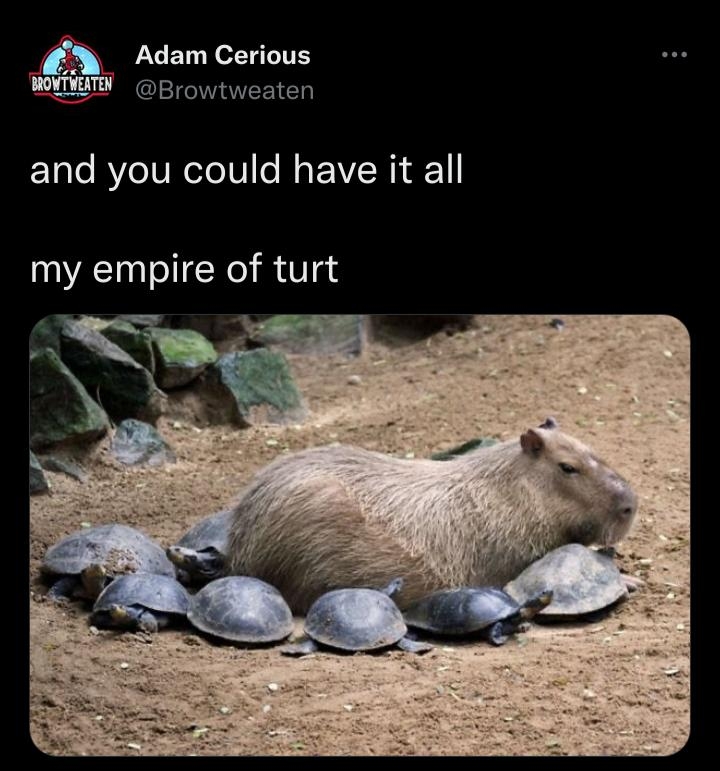 Adam Cerious 0 Browtweaten and you could have it all my empire of turt 1013 AM Jun 30 2022 Twitter for Android 4018 Retw 349K Likes 167 Quote Twe