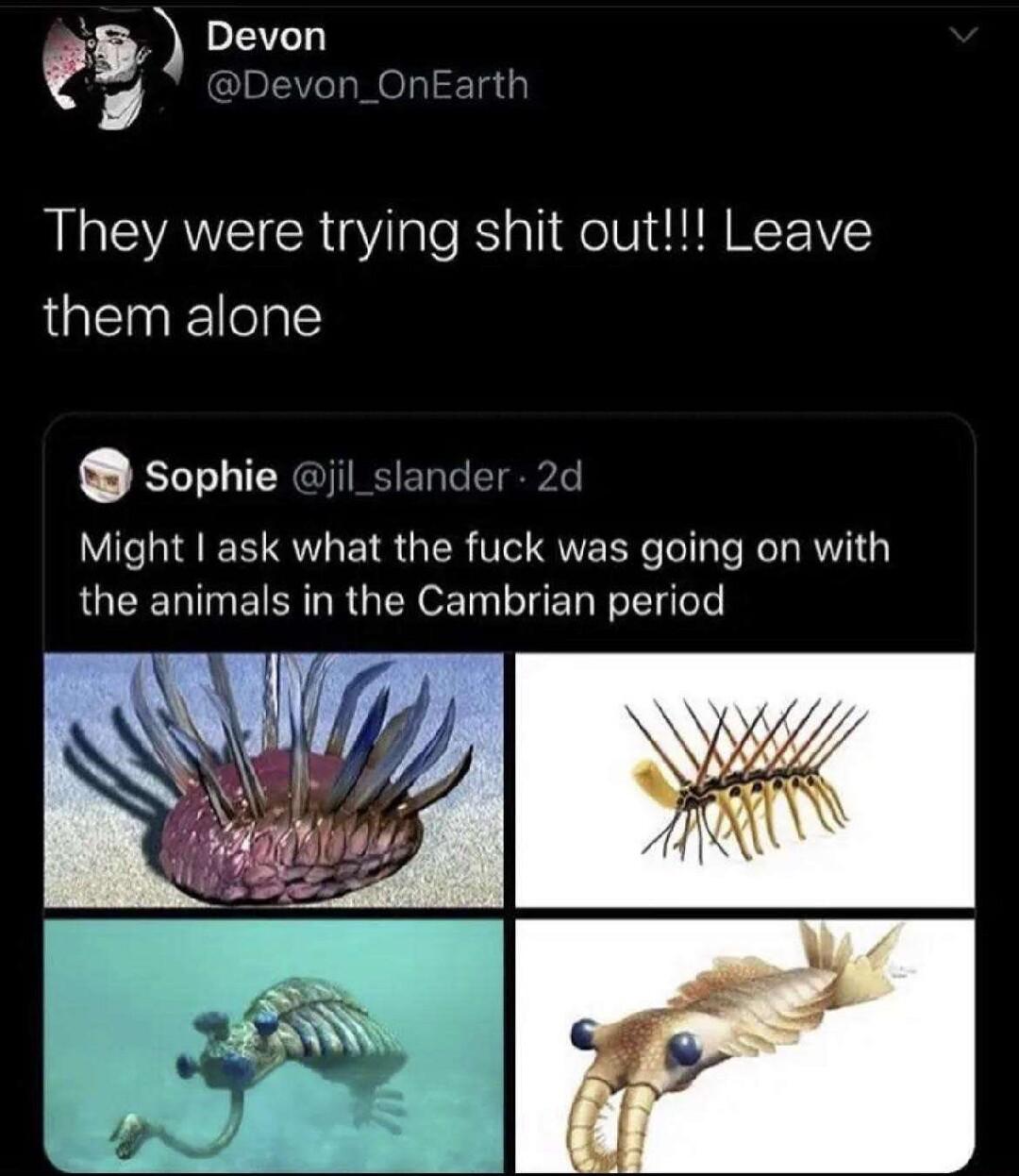 5 Pevon e They were trying shit out Leave them alone OSophie il_slander 2d Might ask what the fuck was going on with the animals in the Cambrian period