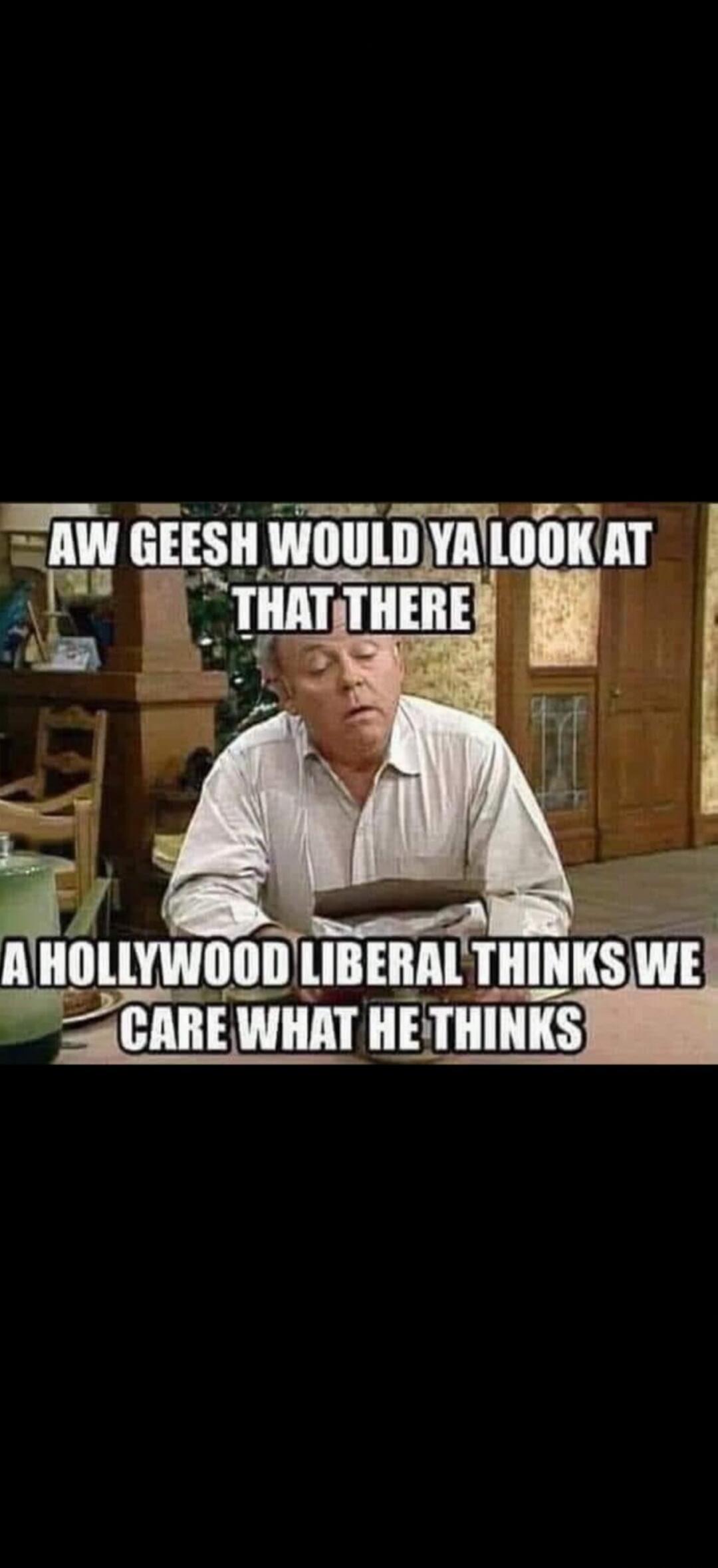AW GEESH WOULD YA LOOK AT THAT THERE A HOLLYWOOD LIBERAL THINKS WE CARE WHAT HE THINKS