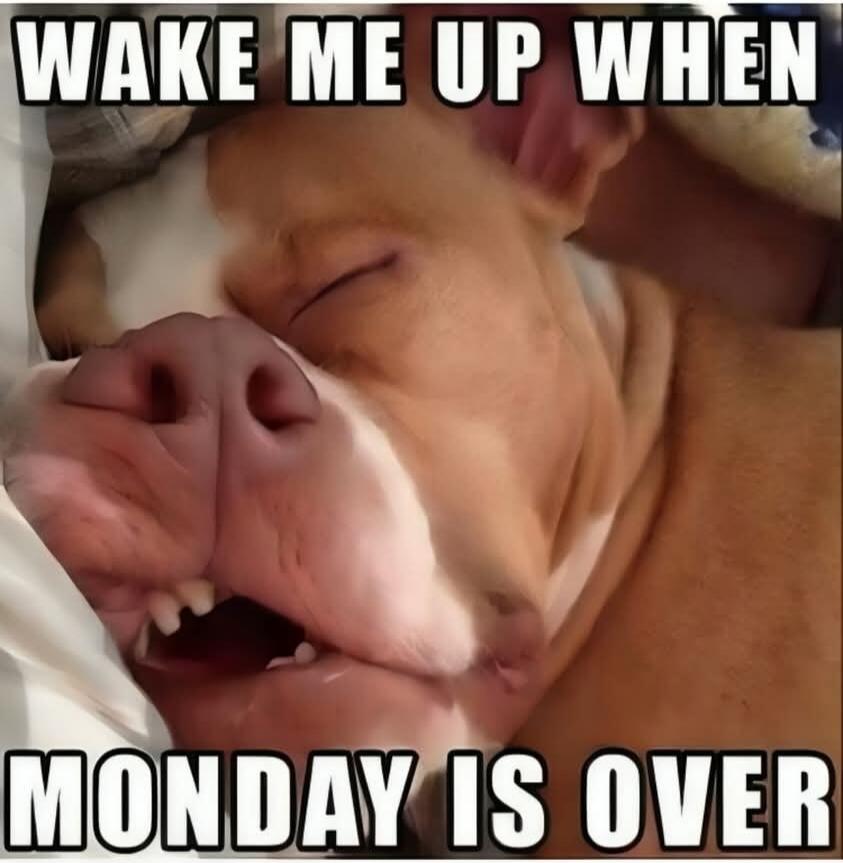 WAKE ME UP WHEN MONDAY IS OVER