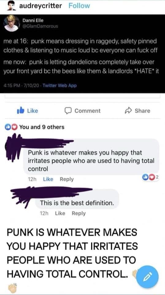 audreycritter b Lik comment A Share O You and 9 others Punk is whatever makes you happy that I irritates people who are used to having total control Reply 0 This is the best definition Like Reply PUNK IS WHATEVER MAKES YOU HAPPY THAT IRRITATES PEOPLE WHO ARE USED TO HAVING TOTAL CONTROL
