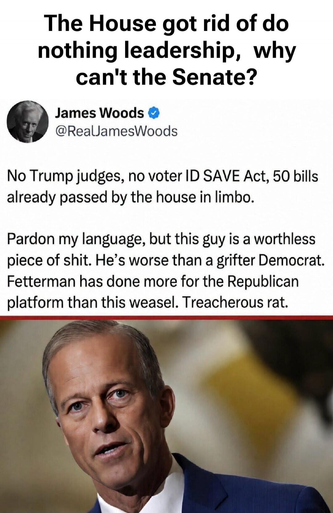 The House got rid of do nothing leadership, why can't the Senate? James Woods @RealJamesWoods No Trump judges, no voter ID SAVE Act, 50 bills already passed by the house in limbo. Pardon my language, but this guy is a worthless piece of shit. He's worse than a grifter Democrat. Fetterman has done more for the Republican platform than this weasel. T
