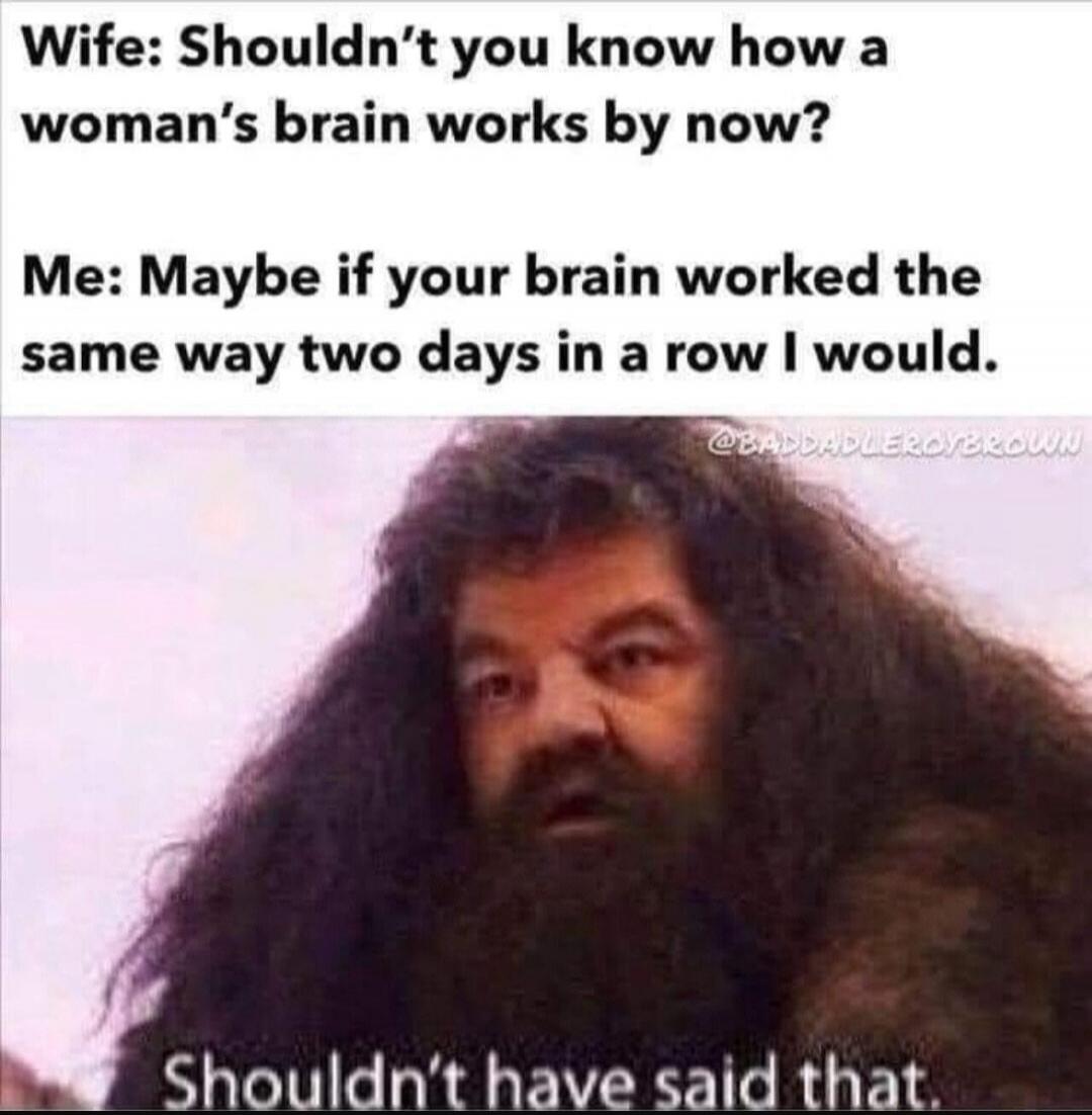 Wife: Shouldn't you know how a woman's brain works by now? Me: Maybe if your brain worked the same way two days in a row I would. Shouldn't have said that. @BADDADLEROYBROWN