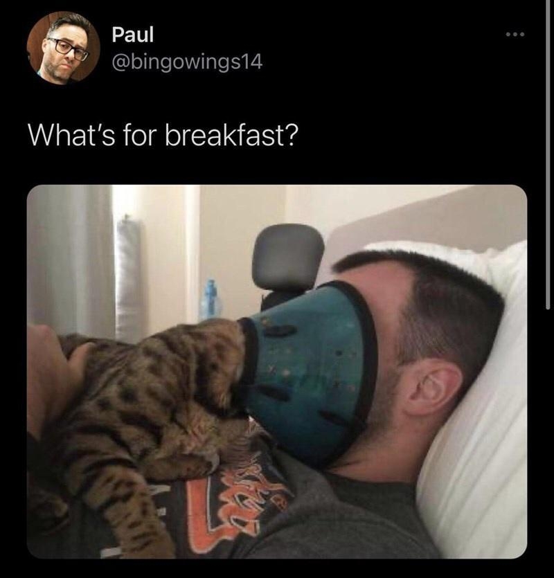 Paul bingowings14 Whats for breakfast 103 AM 71721 Twitter for iPhone