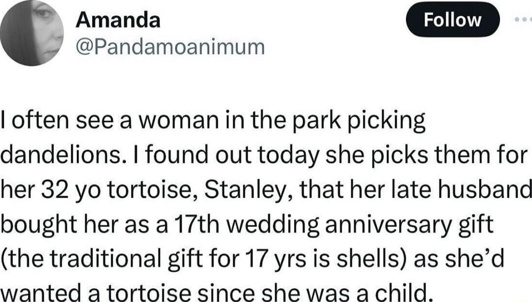 Pandamoanimum often see a woman in the park picking dandelions found out today she picks them for her 32 yo tortoise Stanley that her late husband bought her as a 17th wedding anniversary gift the traditional gift for 17 yrs is shells as shed wanted a tortoise since she was a child