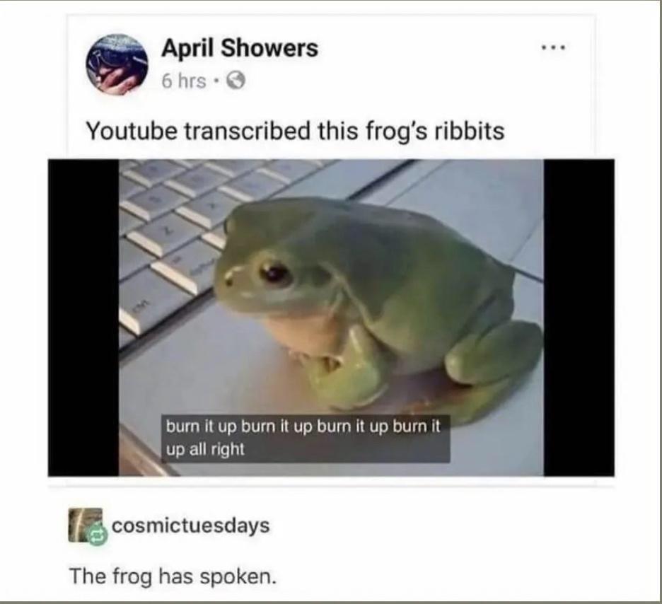 g April Showers Youtube transcribed this frogs ribbits urn It up burn t up burn it up burn it up allright BB cosmictuescays The frog has spoken