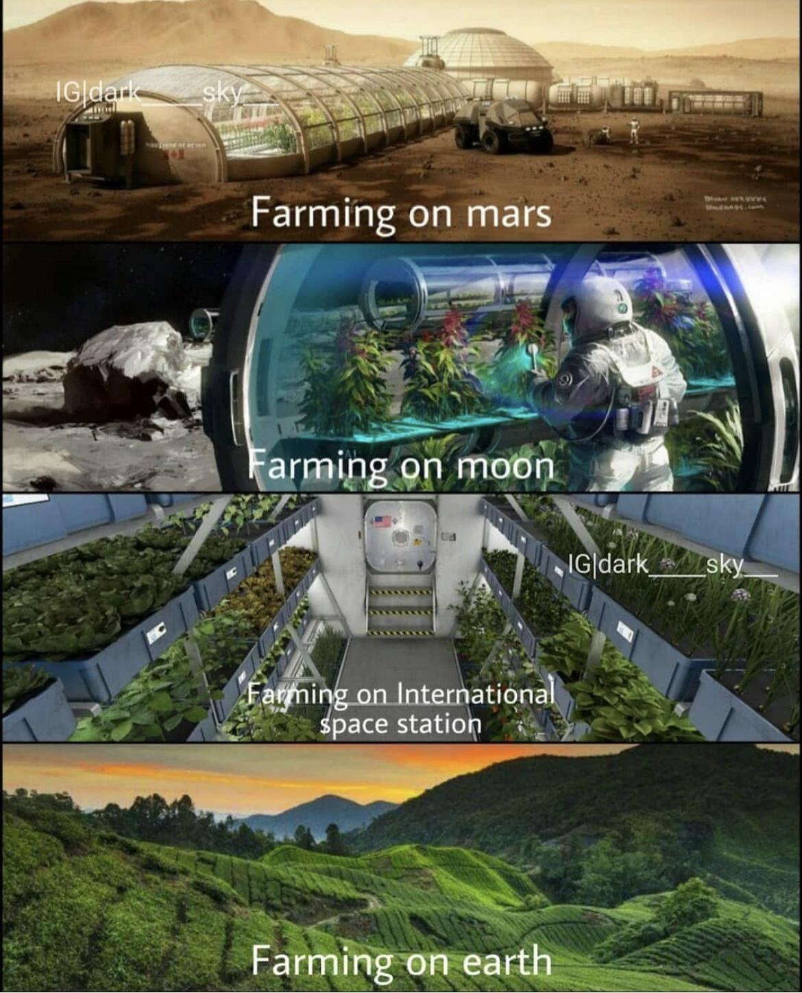 ronlmetatlonal pace station