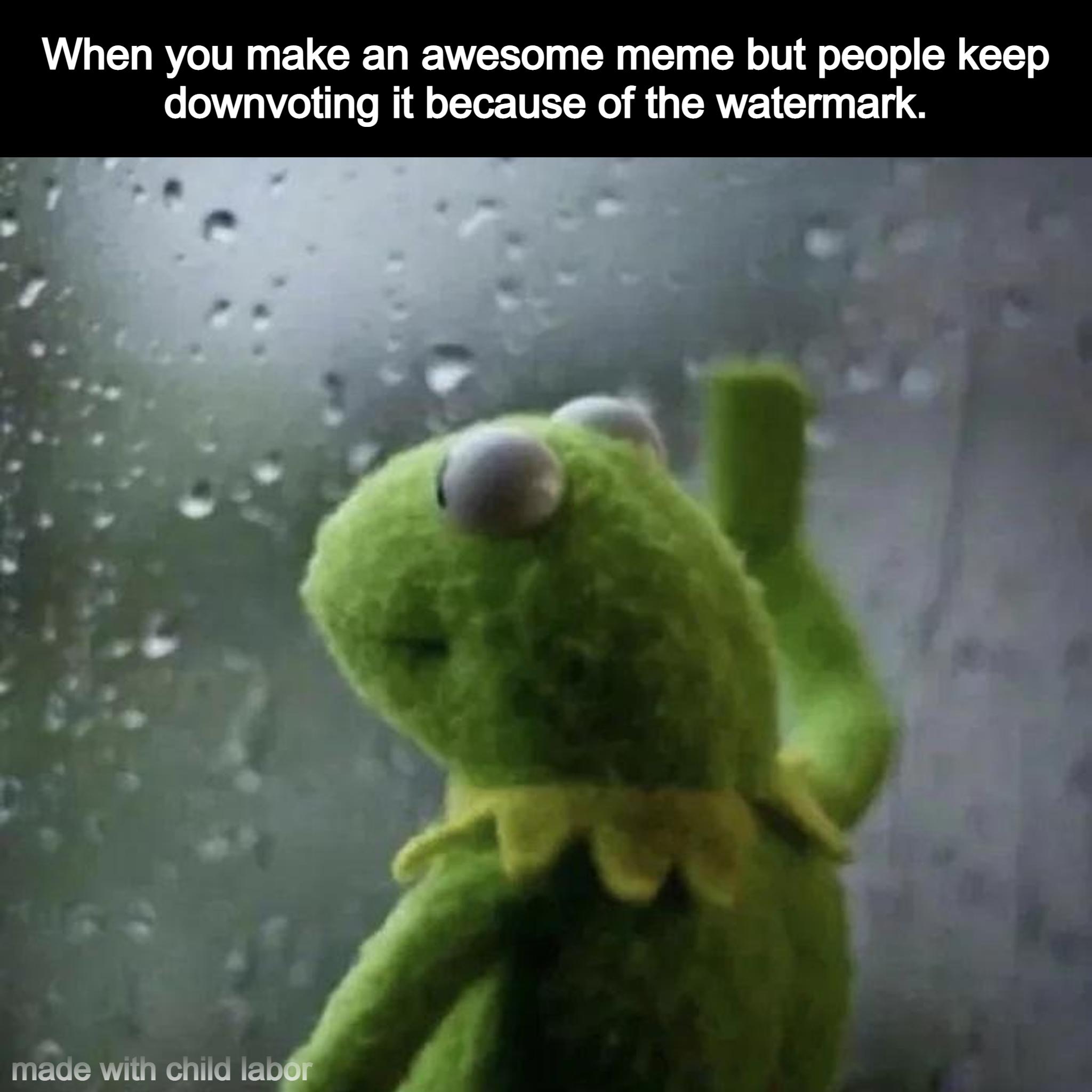 When you make an awesome meme but people keep downvoting it because of the watermark