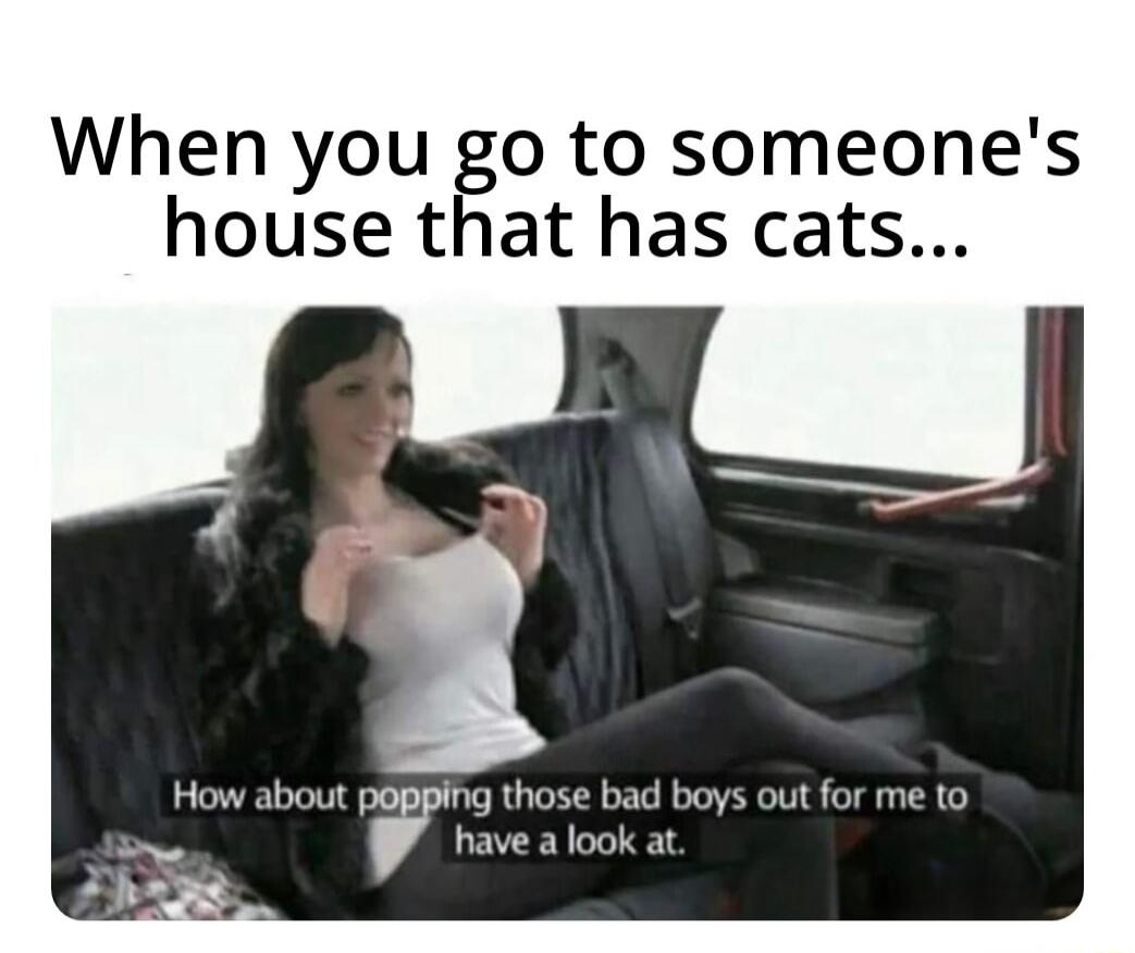 When you go to someones house that has cats How about popping those bad boys out for me to P tavea ook