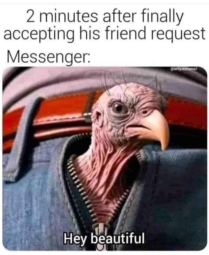 2 minutes after finally accepting his friend request Messenger: Hey beautiful