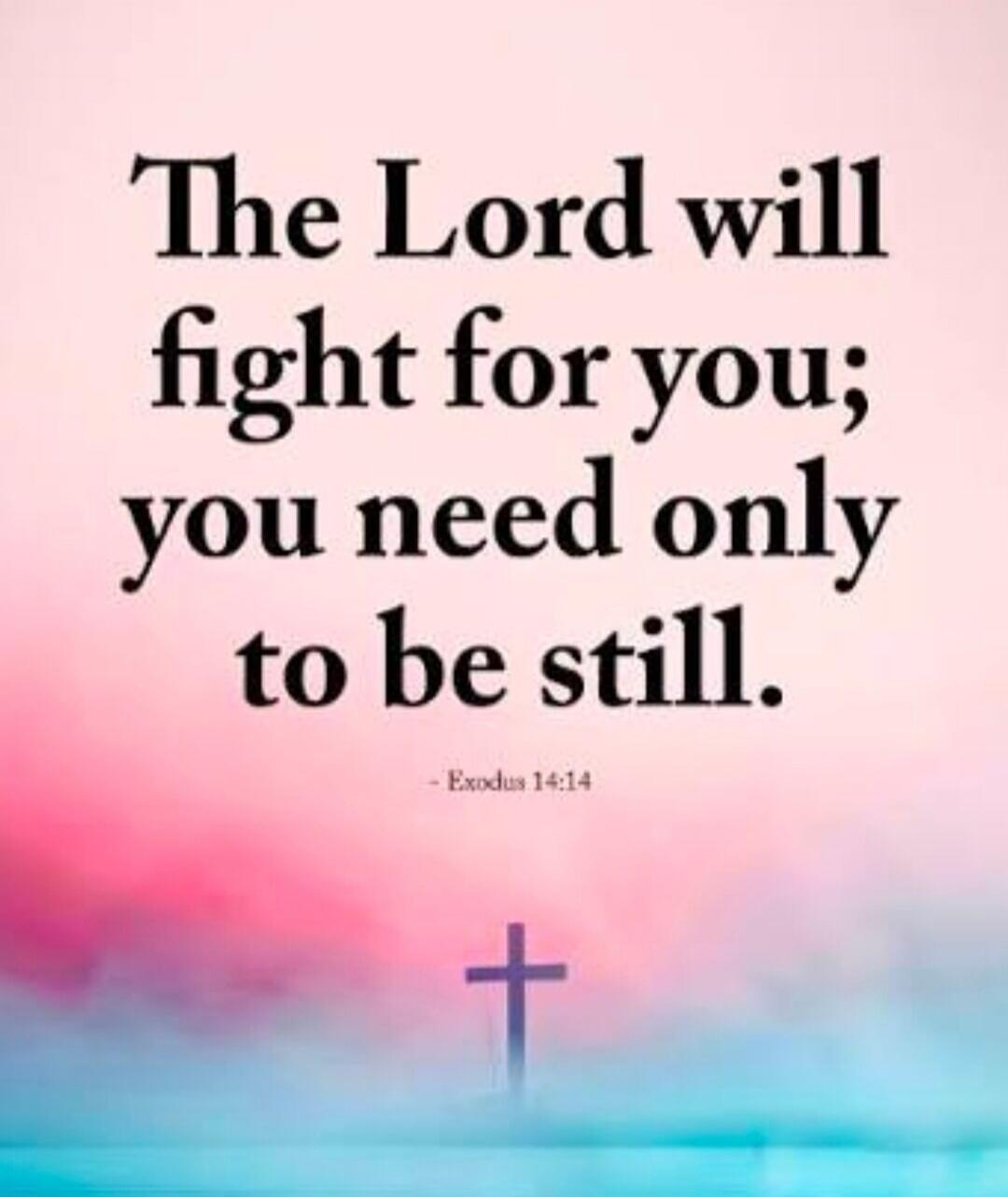The Lord will fight for you; you need only to be still. - Exodus 14:14
