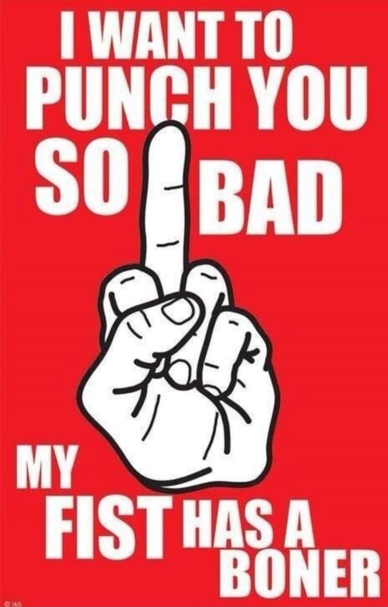 I WANT TO PUNCH YOU SO BAD MY FIST HAS A BONER