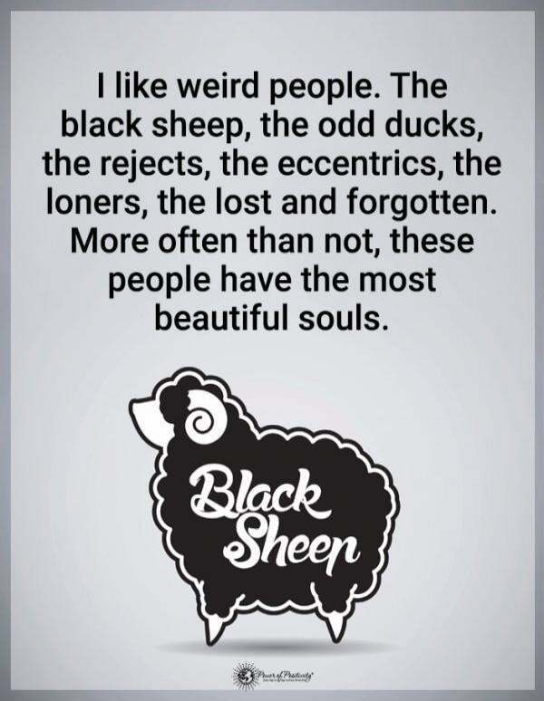 I like weird people. The black sheep, the odd ducks, the rejects, the eccentrics, the loners, the lost and forgotten. More often than not, these people have the most beautiful souls.