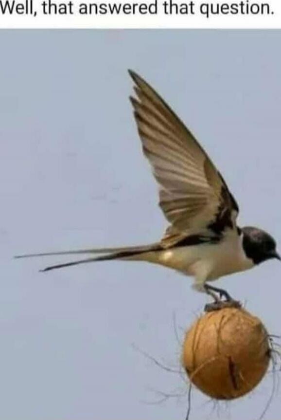 Well, that answered that question.