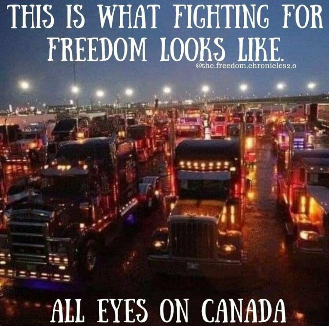 THIS I3 WHAT FIGHTING FOR FBEEDOM LOOHS LIHE ALL EYES ON CANADA