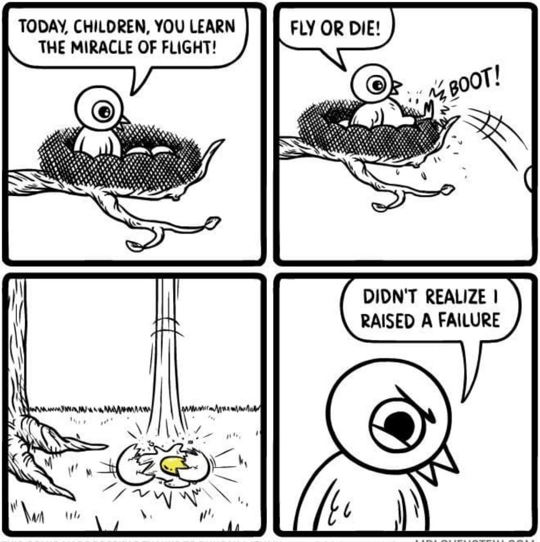 TODAY CHILDREN YOU LEARN THE MIRACLE OF FLIGHT DIDNT REALIZE RAISED A FAILURE