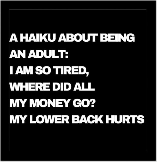 A HAIKU ABOUT BEING AN ADULT: I AM SO TIRED, WHERE DID ALL MY MONEY GO? MY LOWER BACK HURTS