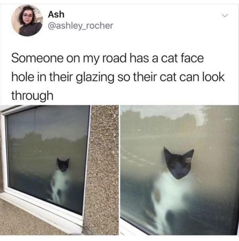 Ash ashley_rocher Someone on my road has a cat face hole in their glazing so their cat can look thro