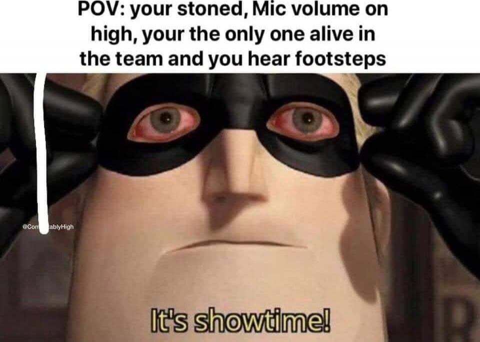 POV: your stoned, Mic volume on high, your the only one alive in the team and you hear footsteps

It's showtime!