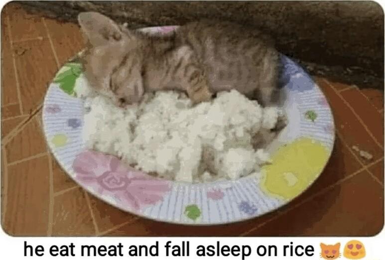 he eat meat and fall asleep on rice W
