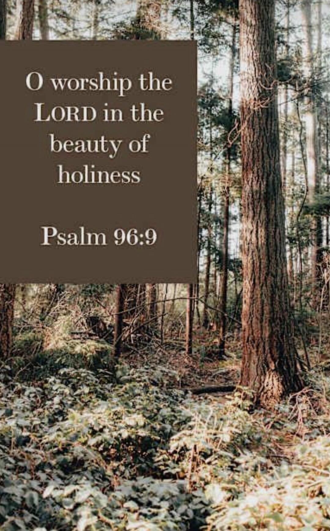 O worship the LORD in the beauty of holiness Psalm 96:9