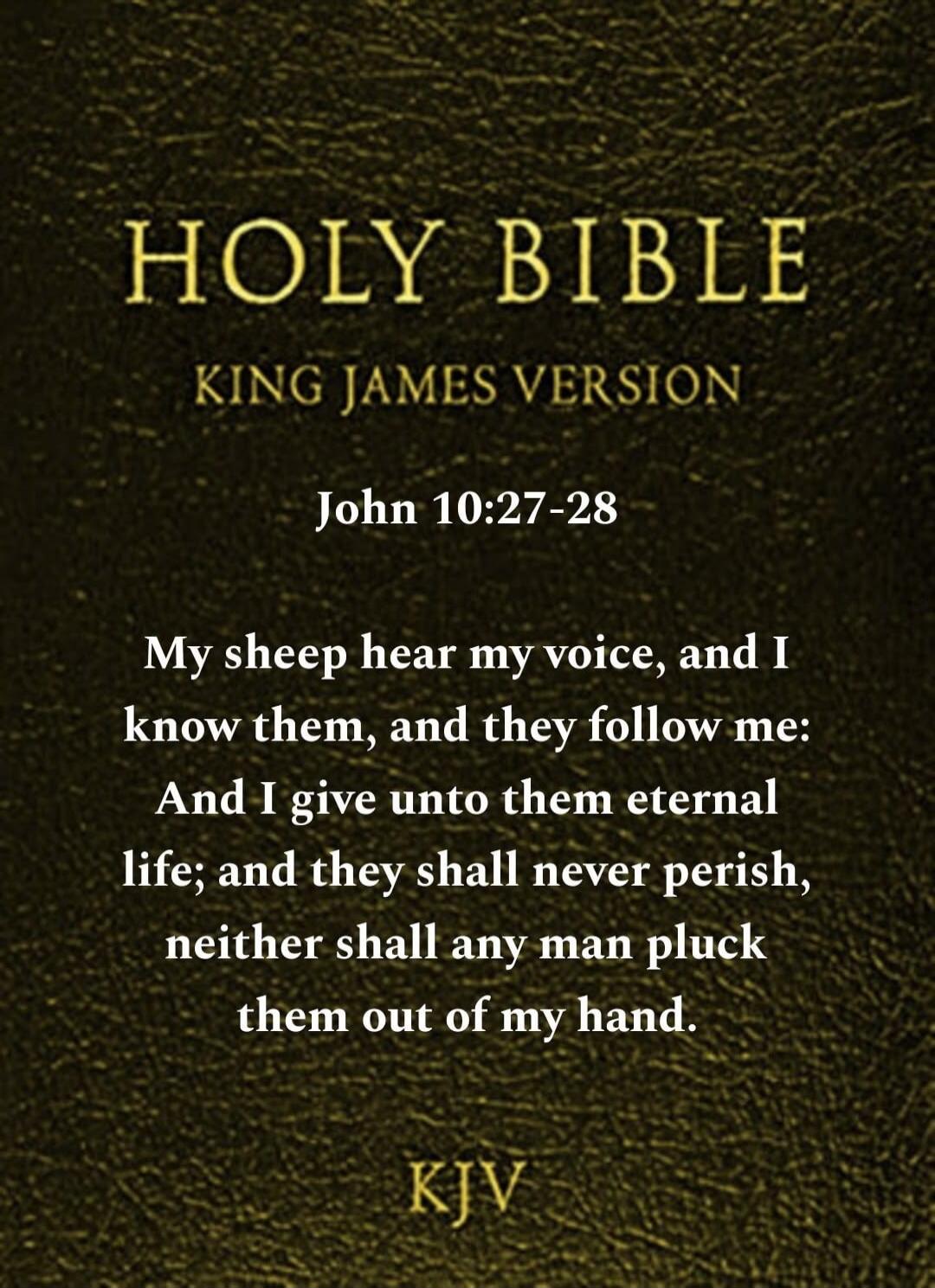 HOLY BIBLE KING JAMES VERSION John 10:27-28 My sheep hear my voice, and I know them, and they follow me: And I give unto them eternal life; and they shall never perish, neither shall any man pluck them out of my hand. KJV