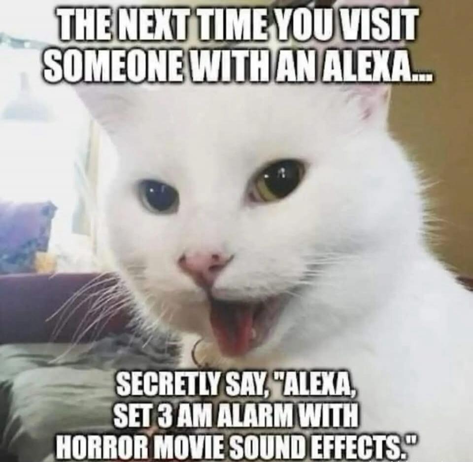 THE NEXT TIME YOU VISIT SOMEONE WITH AN ALEXA... SECRETLY SAY, 