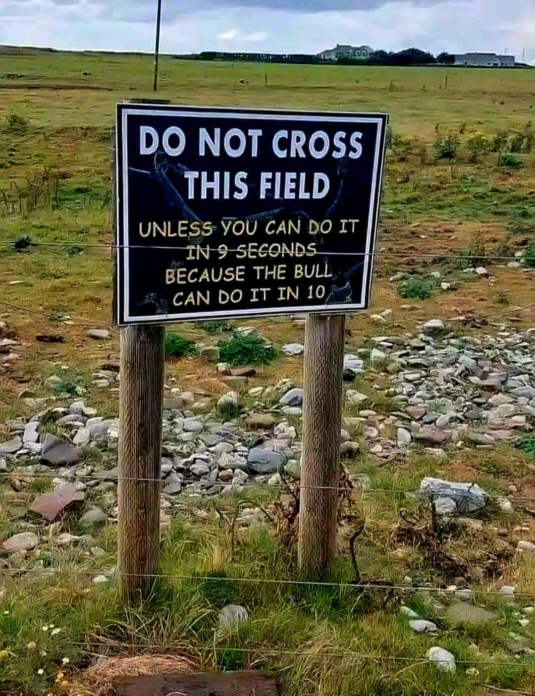 DO NOT CROSS THIS FIELD UNLESS YOU CAN DO IT IN 9 SECONDS BECAUSE THE BULL CAN DO IT IN 10