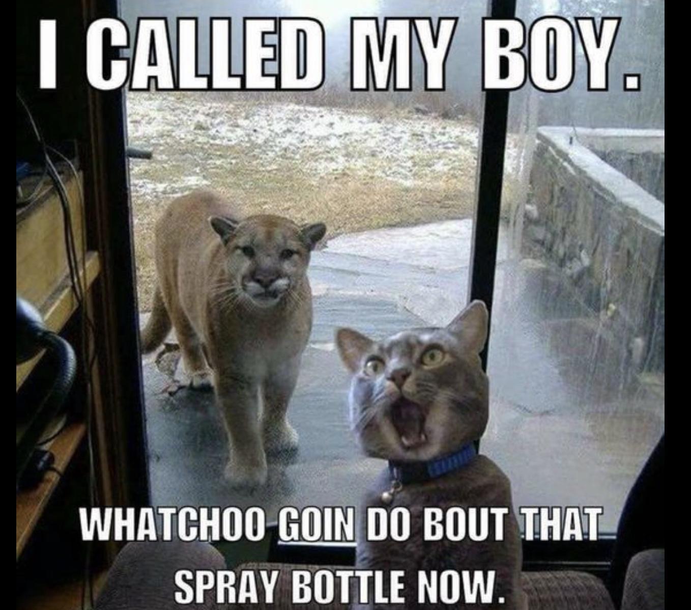 WD N A0 WHATGHOG GIN Il BUIIT THATE SPRAY BOTTE 1