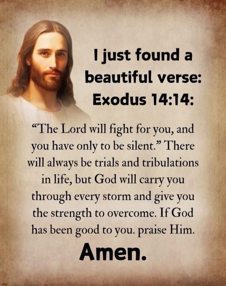 I just found a beautiful verse: Exodus 14:14: “The Lord will fight for you, and you have only to be silent.” There will always be trials and tribulations in life, but God will carry you through every storm and give you the strength to overcome. If God has been good to you. praise Him. Amen.
