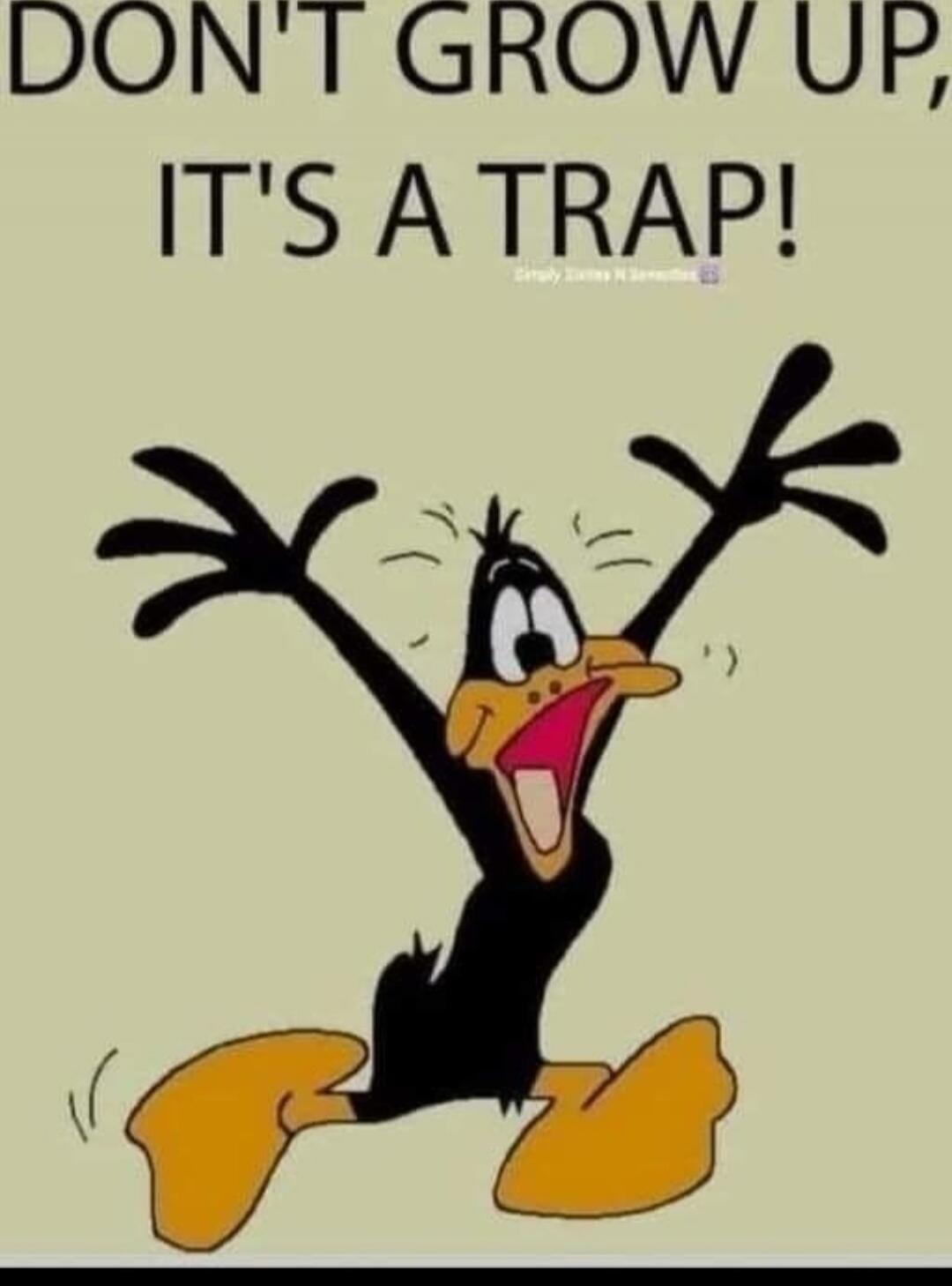 DON'T GROW UP, IT'S A TRAP!