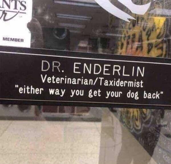 DR ENDERL VeterinarianTaxidermist either way you get your dog back