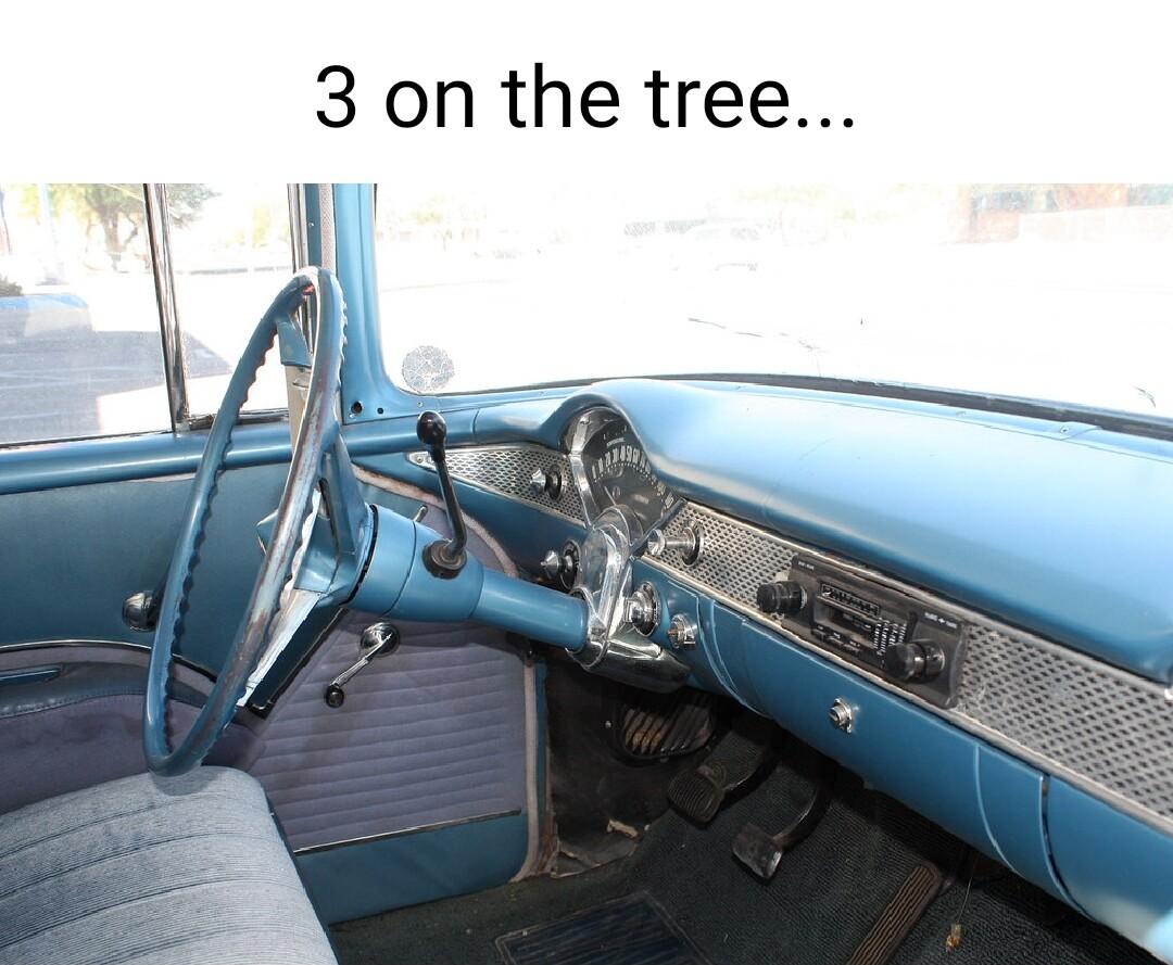 3 on the tree