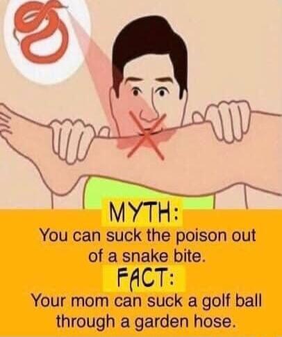 MYTH You can suck the poison out of a snake bite FACT Your mom can suck a golf ball through a garden hose