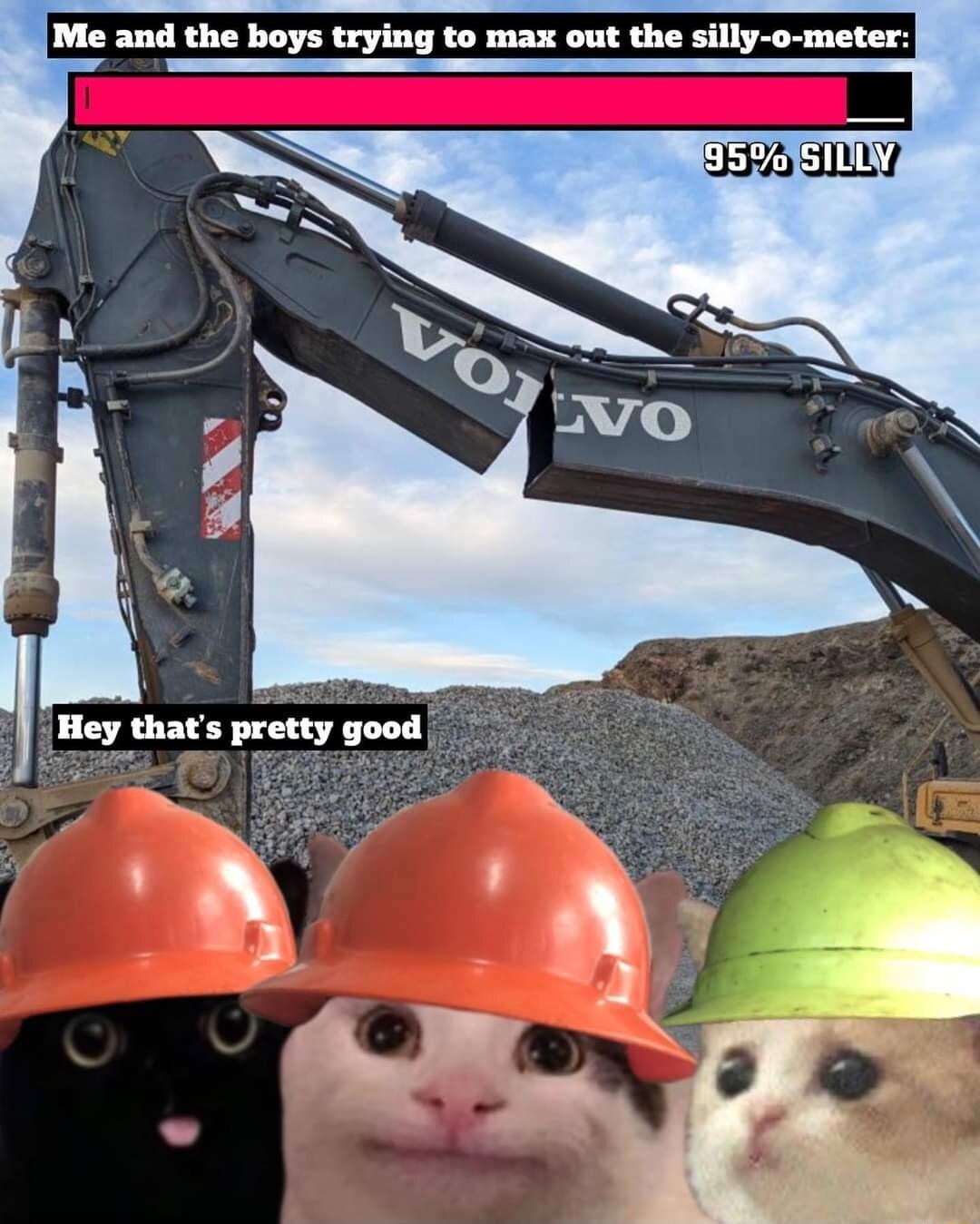 Me and the boys trying to max out the silly o meter