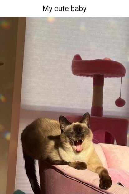 My cute baby