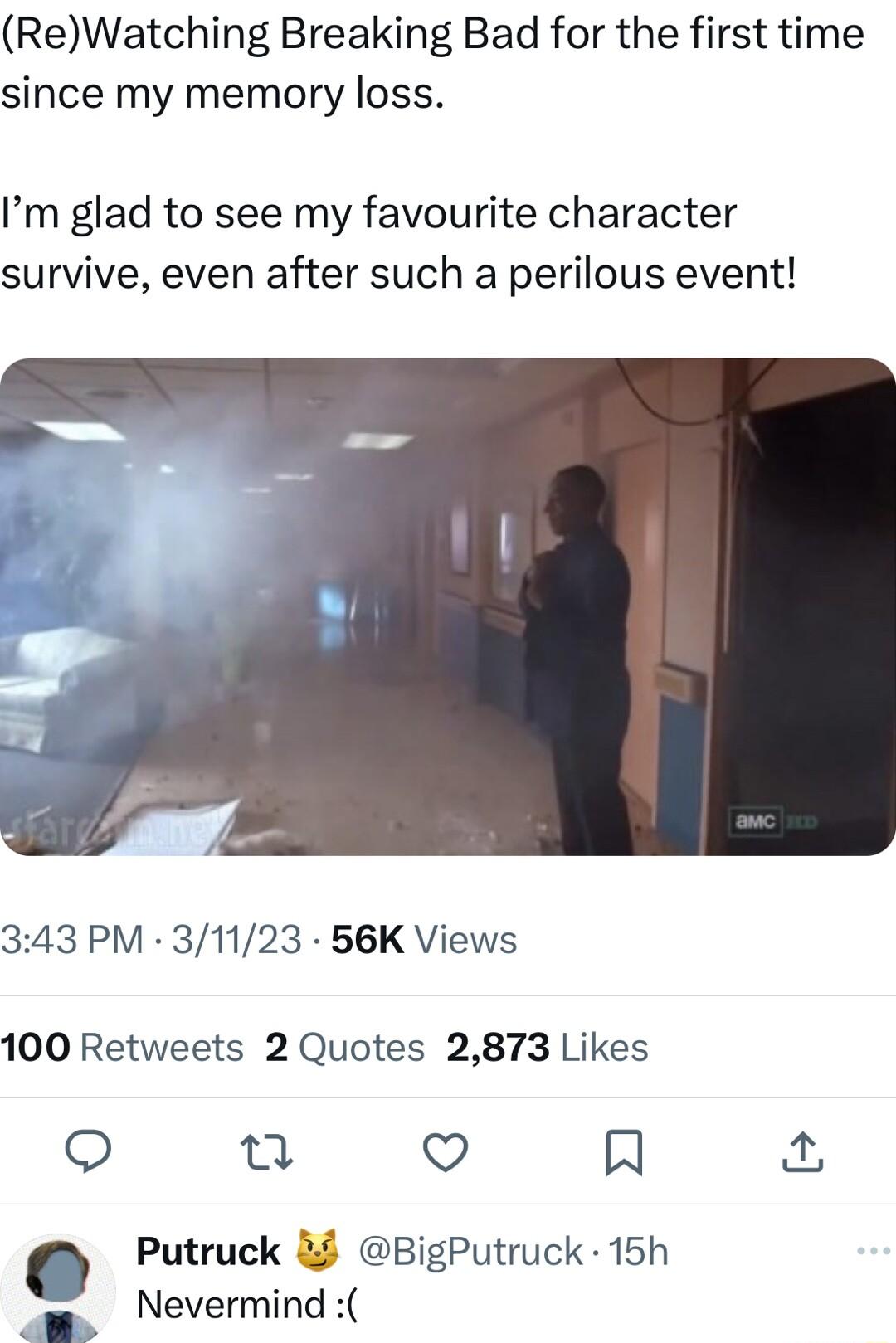 ReWatching Breaking Bad for the first time since my memory loss Im glad to see my favourite character survive even after such a perilous event 343 PM 31123 56K Views 100 Retweets 2 Quotes 2873 Likes e Qo R Putruck BigPutruck 15h Nevermind