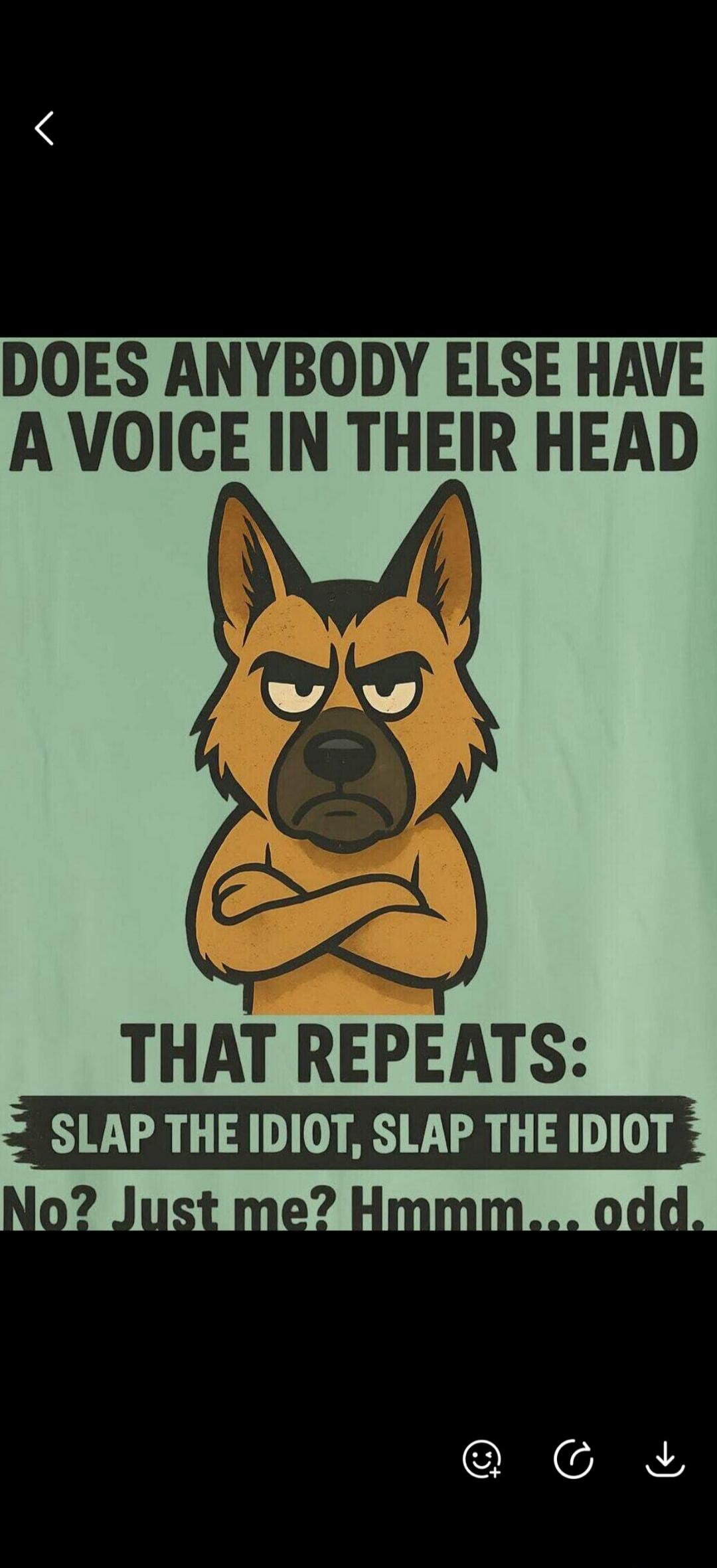 DOES ANYBODY ELSE HAVE A VOICE IN THEIR HEAD THAT REPEATS: SLAP THE IDIOT, SLAP THE IDIOT No? Just me? Hmmm... odd.