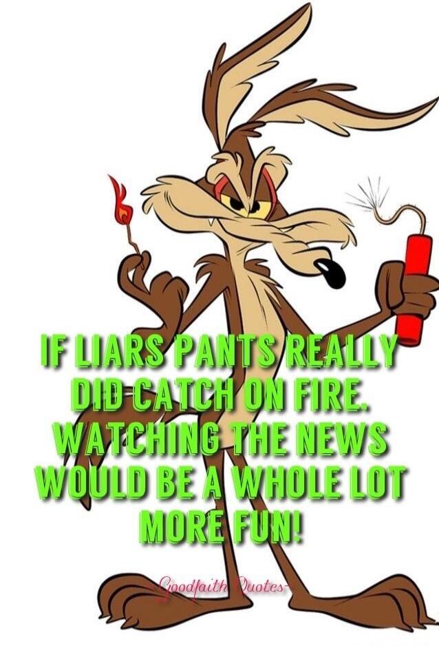 IF LIARS PANTS REALLY DID CATCH ON FIRE. WATCHING THE NEWS WOULD BE A WHOLE LOT MORE FUN! Goodfaith Quotes