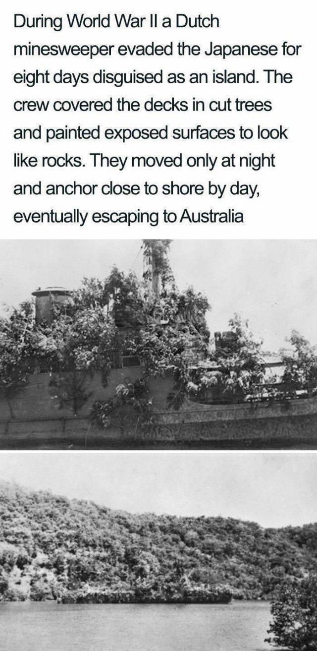 During World War Il a Dutch minesweeper evaded the Japanese for eight days disguised as an island The crew covered the decks in cut trees and painted exposed surfaces to look like rocks They moved only at night and anchor close to shore by day eventually escaping to Australia