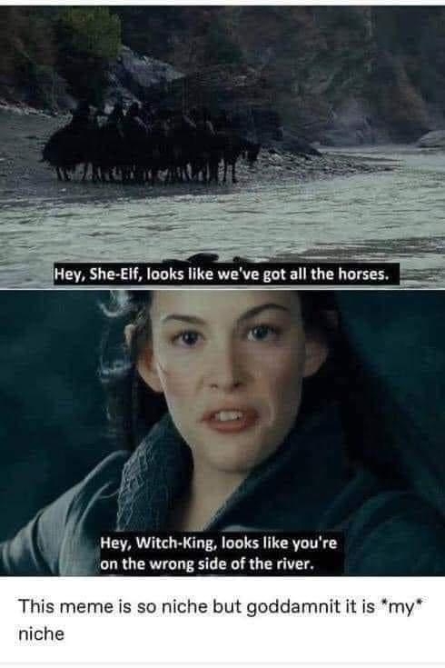 Hey She Eif looks like weve got all the horses Hey Witch King looks like youre on the wrong side of the river This meme is so niche but goddamnit it is my niche