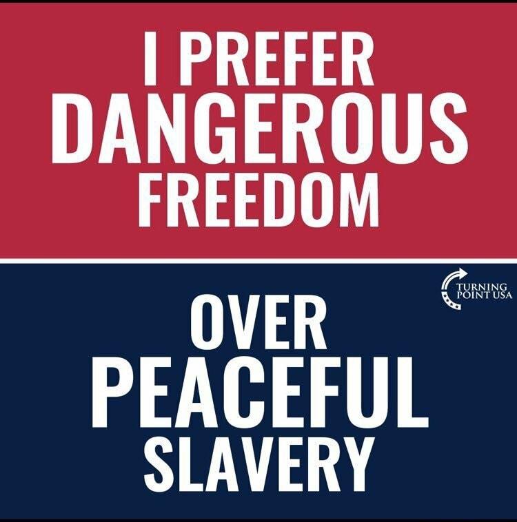 PREFER DANGEROUS FREEDOM OVER PEACEFUL SLAVERY M Turning om T USA