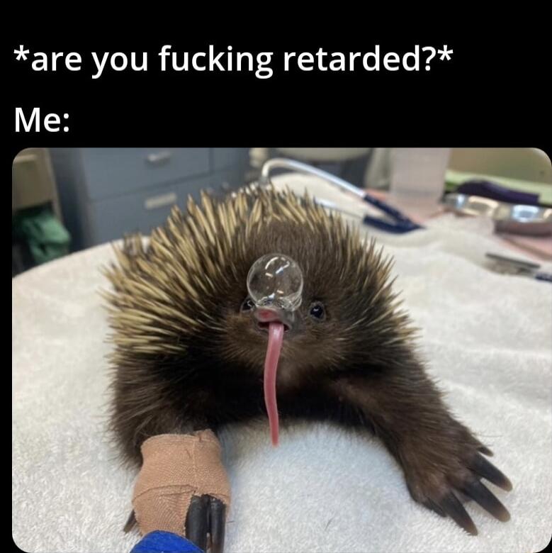 RETCRCIR VI T4 eTde Te Pl