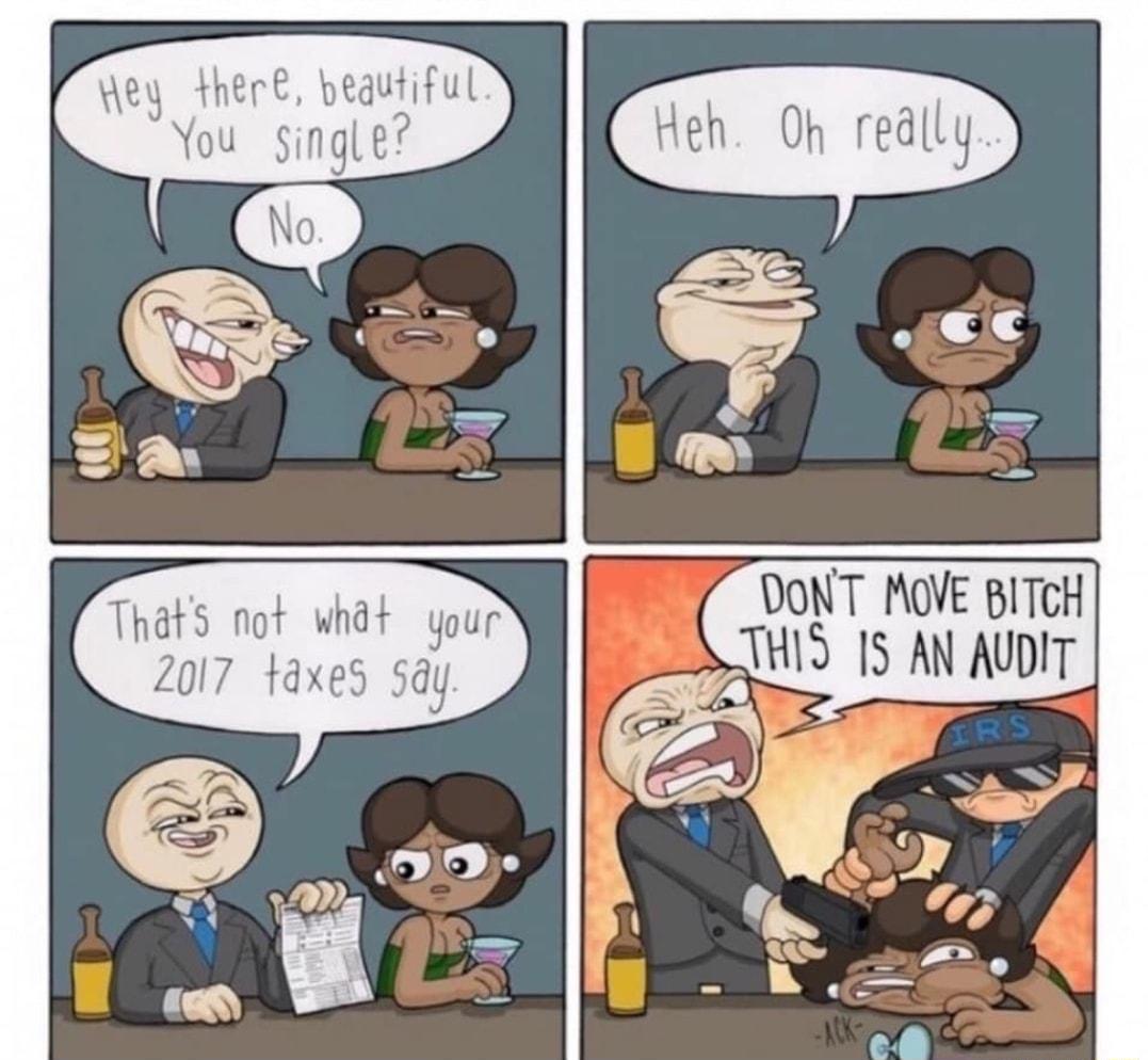 OVE BITCH 3 15 AN AUDIT