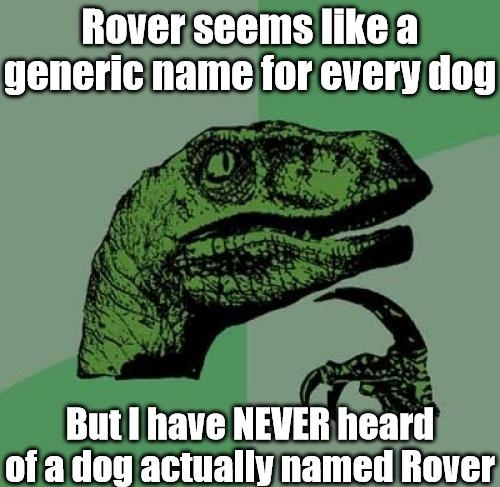 Roverseems like a genericname for every dog Butl have NEVER heard of a dog actually named Rover